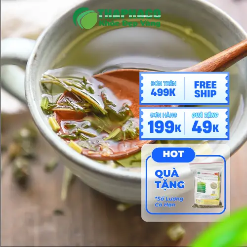 Ích mẫu khô được tuyển chọn kỹ lưỡng tại Thảo Dược Tấn Phát