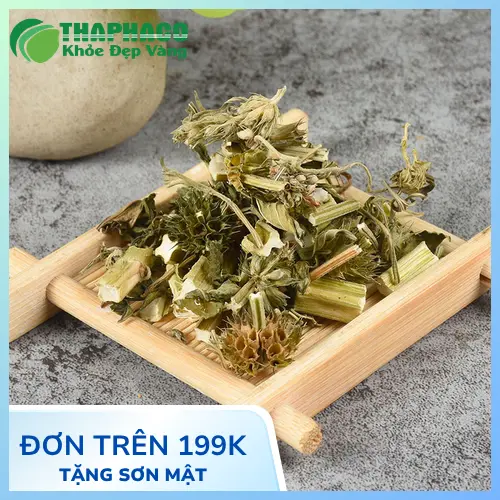 Quy trình sấy khô ích mẫu hiện đại tại Thảo Dược Tấn Phát