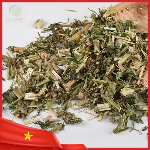Cách bảo quản ích mẫu sấy khô đúng cách
