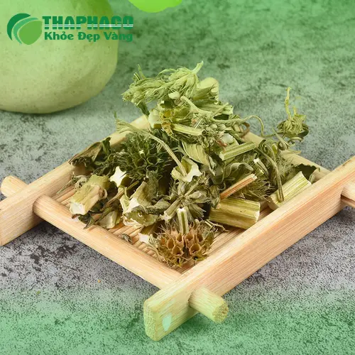 Thảo Dược Tấn Phát cung cấp ích mẫu sấy khô chất lượng cao