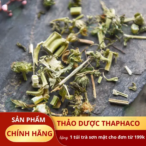 Thảo Dược Tấn Phát cam kết giá tốt và nhiều ưu đãi khi mua sỉ ích mẫu sấy khô