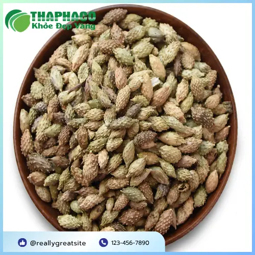 Hình ảnh ké đầu ngựa khô chất lượng cao của Thảo Dược Tấn Phát