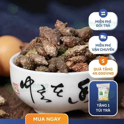 Ké đầu ngựa hỗ trợ giảm triệu chứng viêm xoang