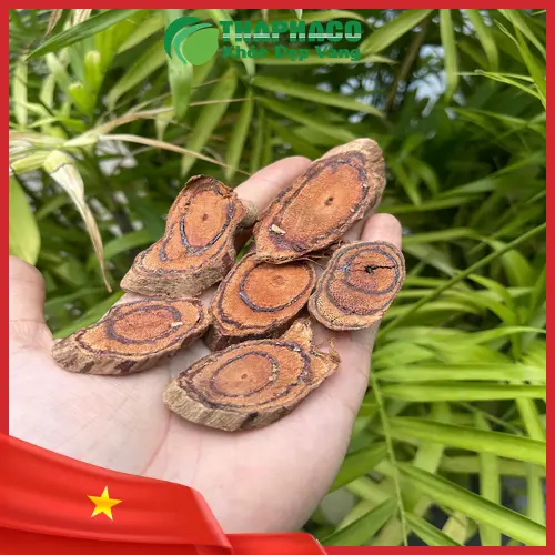 Hình ảnh thân cây Kê Huyết Đằng khô tự nhiên, được làm sạch