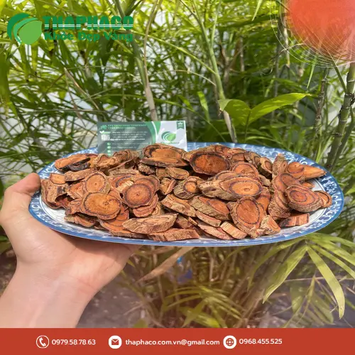 Hình ảnh sản phẩm Kê Huyết Đằng sấy khô trưng bày tại cửa hàng Thảo Dược Tấn Phát