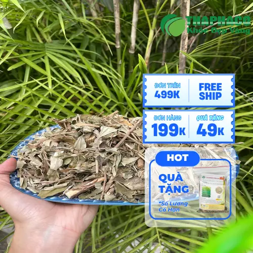 Khổ sâm khô tại Thảo Dược Tấn Phát trước khi đóng gói