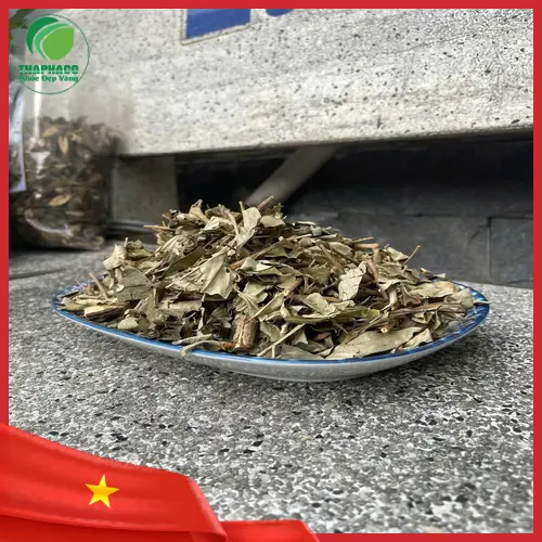 Khổ Sâm Nguyên Chất đã sấy khô tại Thảo Dược Tấn Phát