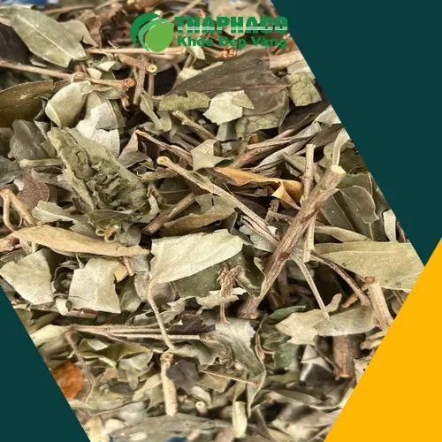 Khổ sâm khô Thảo Dược Tấn Phát tự nhiên và sạch