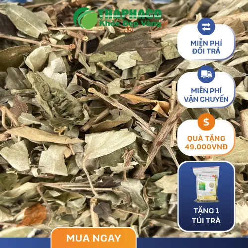Khổ sâm khô nguyên chất Thảo Dược Tấn Phát