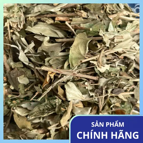 Các cách sử dụng khổ sâm hỗ trợ điều trị vảy nến