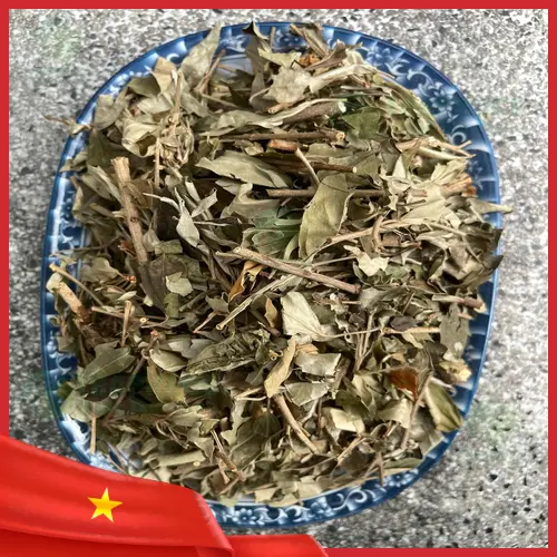 Khổ sâm khô chất lượng cao với màu sắc tự nhiên
