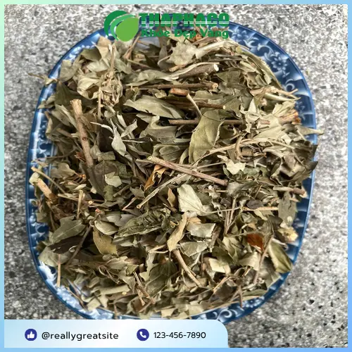 Hình ảnh cận cảnh Khổ Sâm khô tại Thảo Dược Tấn Phát