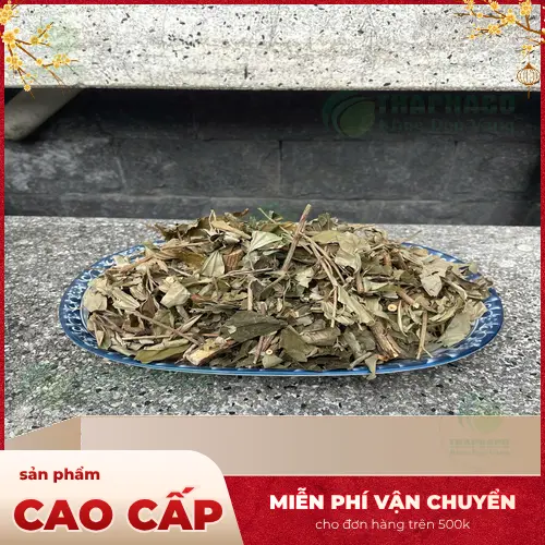 Quy trình chuẩn bị Khổ Sâm để sử dụng