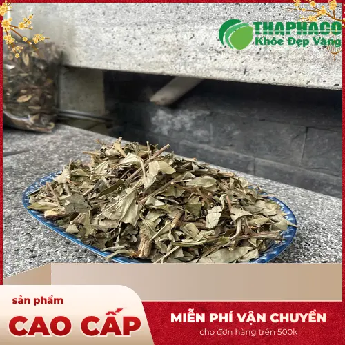Lưu ý quan trọng khi sử dụng khổ sâm khô