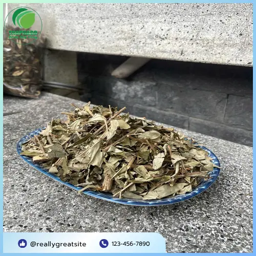 Liên hệ Thảo Dược Tấn Phát để mua khổ sâm chất lượng