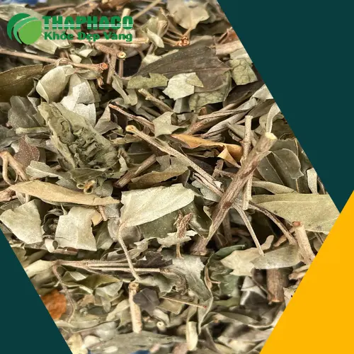 Đóng gói sản phẩm khổ sâm cẩn thận tại Tấn Phát