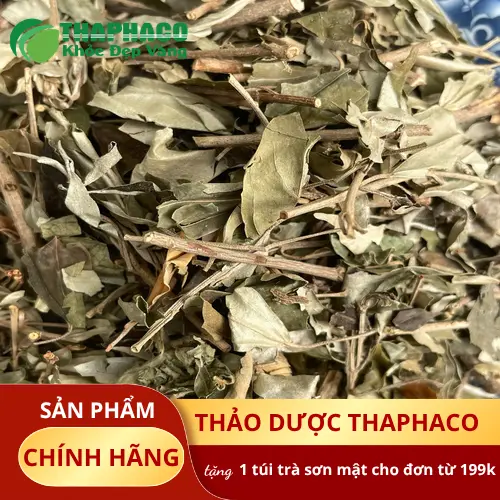 Khổ sâm khô Thảo Dược Tấn Phát chất lượng cao