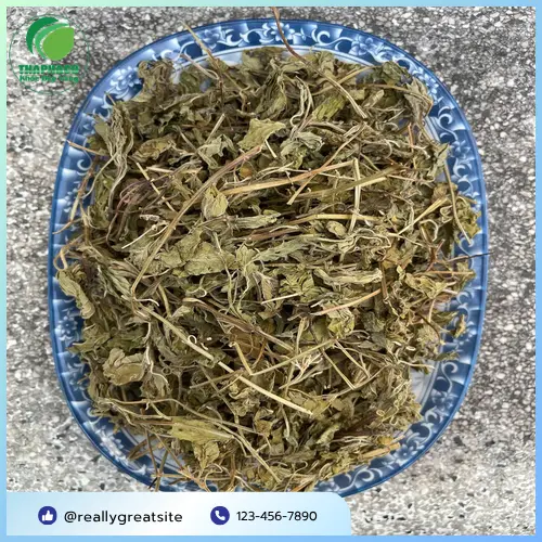 Lá bạc hà tươi xanh và công dụng tuyệt vời cho sức khỏe