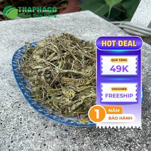 Lá bạc hà khô chất lượng cao từ Thảo Dược Tấn Phát