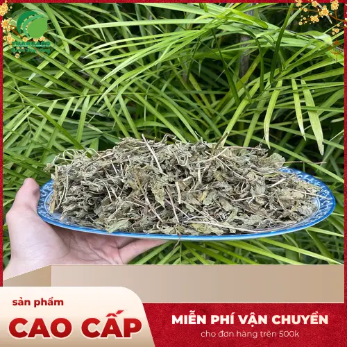 Lá bạc hà sấy khô Thảo Dược Tấn Phát chất lượng cao