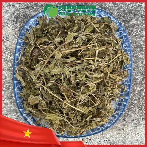 Lá bạc hà tươi xanh được thu hoạch cẩn thận tại vườn