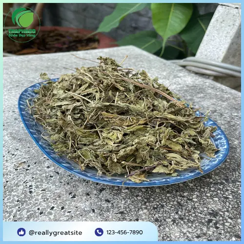 Lá bạc hà khô Thảo Dược Tấn Phát chất lượng cao