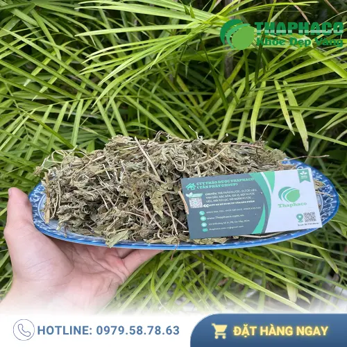 Tinh dầu bạc hà giúp giảm căng thẳng