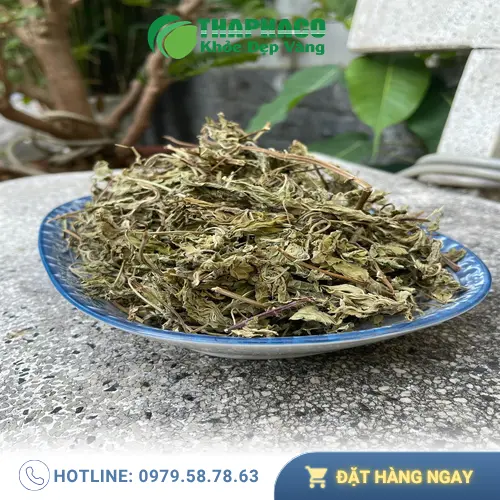 Quy trình sấy khô lá bạc hà hiện đại tại Thảo Dược Tấn Phát
