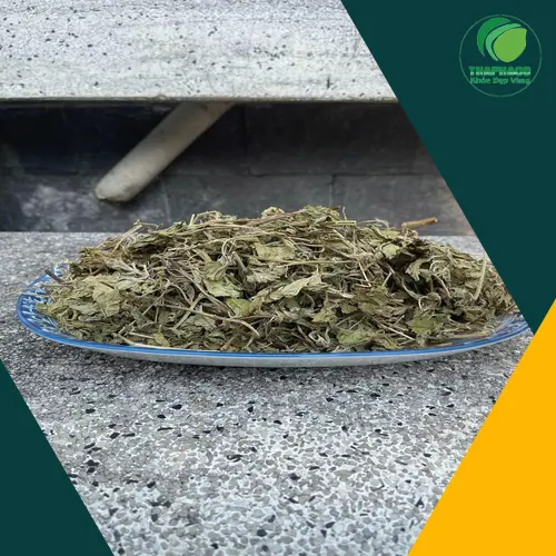 Lá bạc hà giúp hơi thở thơm mát tự nhiên