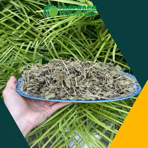Pha trà bạc hà giảm stress