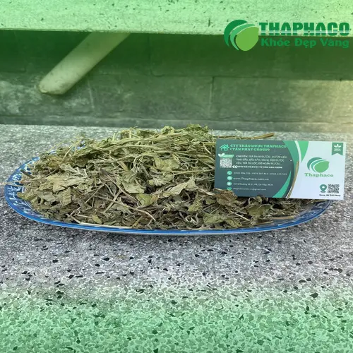 Lá bạc hà khô được bảo quản đúng cách tại Thảo Dược Tấn Phát