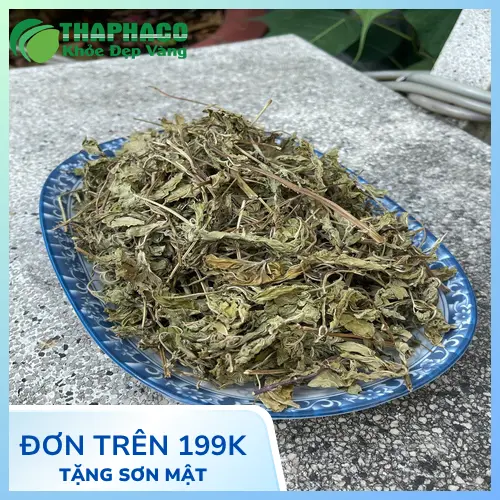 Mua lá bạc hà khô chất lượng tại Thảo Dược Tấn Phát