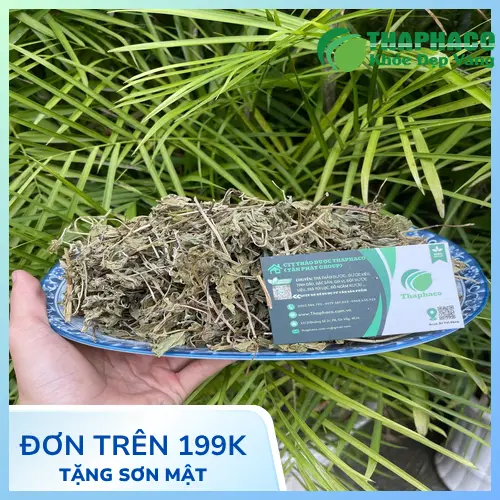 Tách trà bạc hà khô thơm ngon, thư giãn