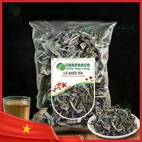 Hình ảnh lá khôi tía tươi tại vườn