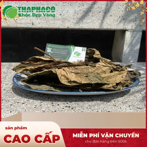 Hình ảnh lá khôi tía tươi và khô tại Thảo Dược Tấn Phát
