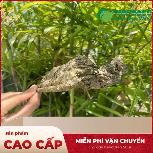 Công dụng của lá khôi tía sấy khô đối với sức khỏe tiêu hóa