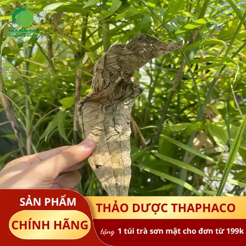 Lá khôi tía sấy khô chất lượng cao từ Thảo Dược Tấn Phát