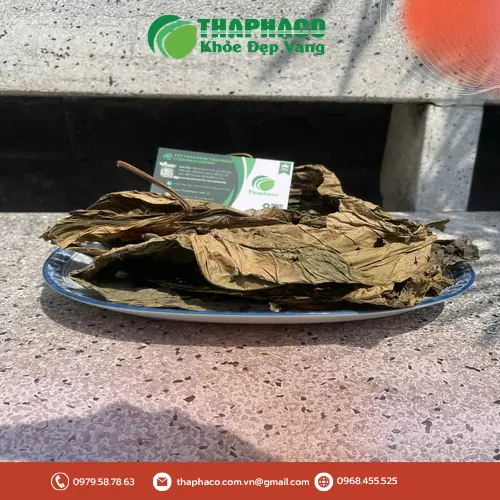 So sánh cận cảnh Lá Khôi Tía và Lá Khôi Nhung