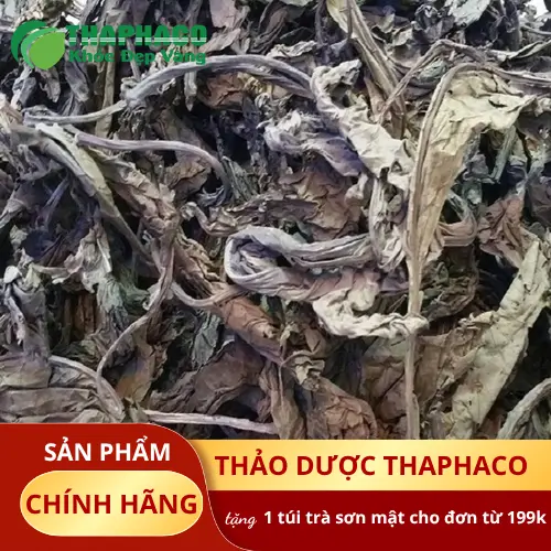 Hình ảnh lá khôi tía khô đã sẵn sàng giao hàng