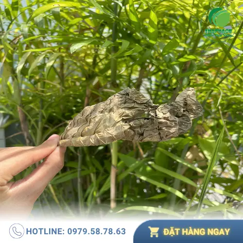 Lá Khôi Tía sấy khô chất lượng từ Thảo Dược Tấn Phát