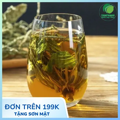 Mã đề sấy khô nguyên chất từ Thảo Dược Tấn Phát