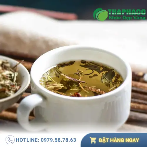 Quy trình sắc mã đề sấy khô chuẩn tại nhà
