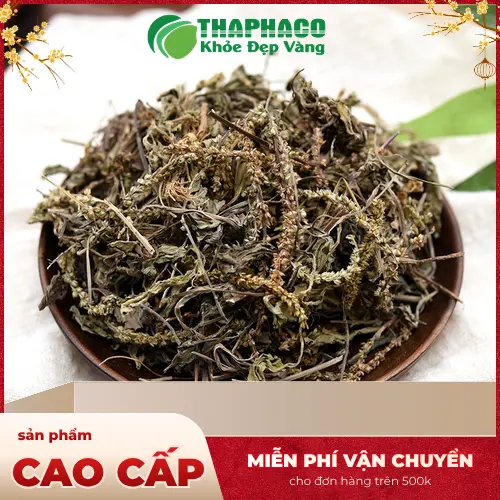 Bảo quản mã đề sấy khô đúng cách tại nhà