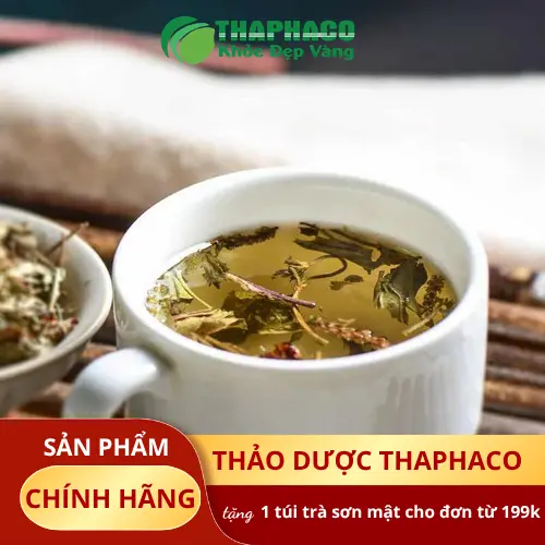 Kho chứa mã đề khô số lượng lớn tại Thảo Dược Tấn Phát, sẵn sàng cung ứng sỉ