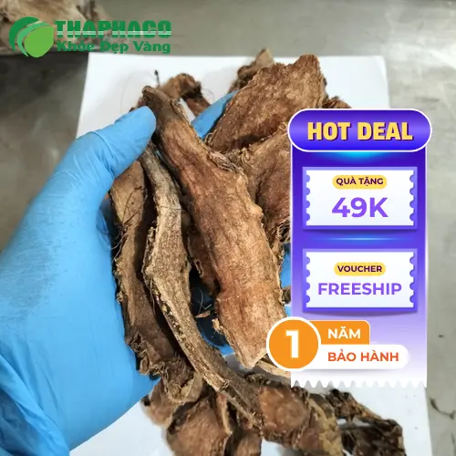 Ưu điểm của móp gai khô tại Thảo Dược Tấn Phát
