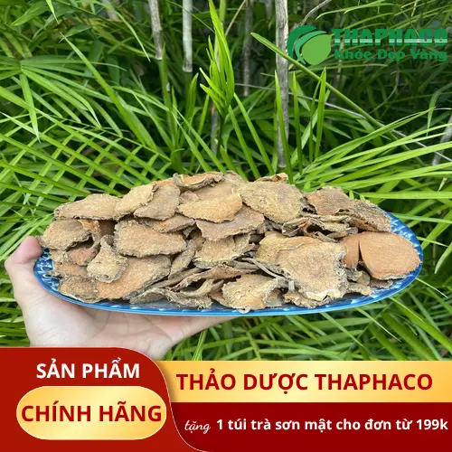 Công dụng của móp gai đối với sức khỏe