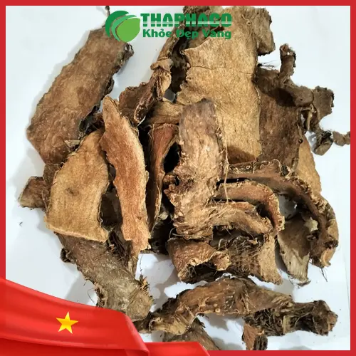 Cách bảo quản móp gai khô đúng cách tại nhà