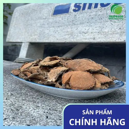 Móp gai khô chất lượng cao từ Thảo Dược Tấn Phát