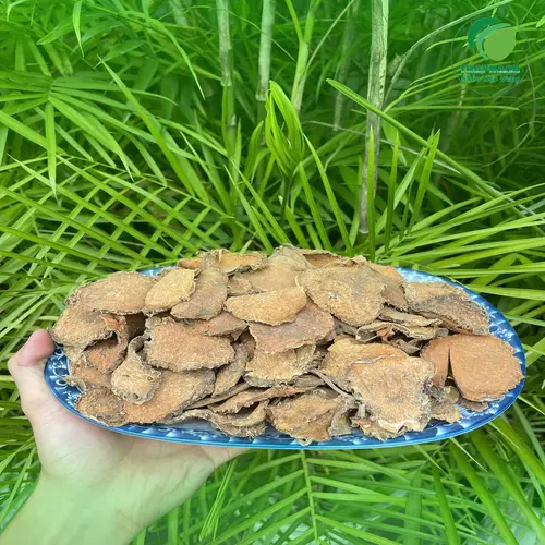 Hướng dẫn bảo quản móp gai sấy khô đúng cách