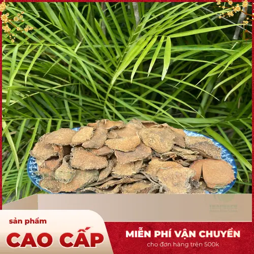 Mướp gai và tác dụng hỗ trợ kiểm soát đường huyết